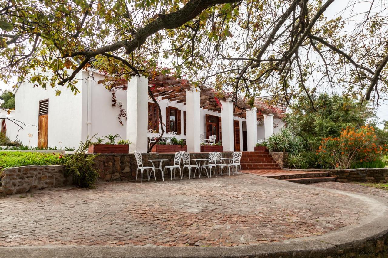 Ayama Wine Farm - Manor House Panzió Wellington Kültér fotó