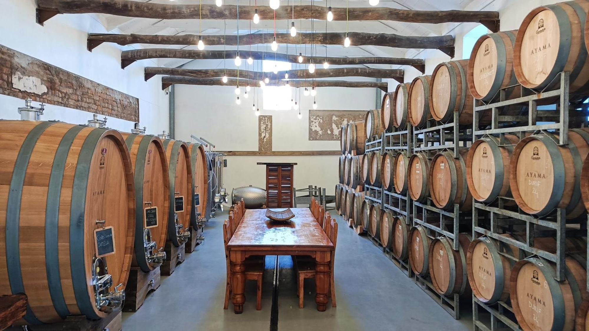 Ayama Wine Farm - Manor House Panzió Wellington Kültér fotó
